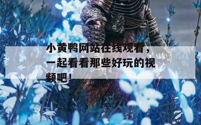 小黄鸭网站在线观看，一起看看那些好玩的视频吧！