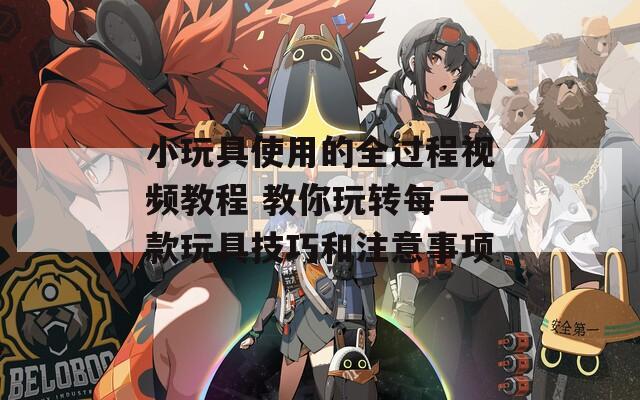 小玩具使用的全过程视频教程 教你玩转每一款玩具技巧和注意事项