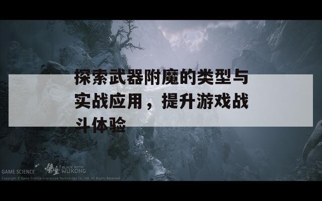 探索武器附魔的类型与实战应用，提升游戏战斗体验
