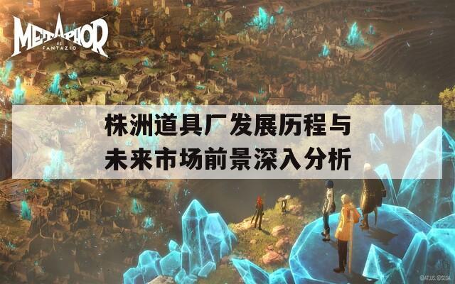 株洲道具厂发展历程与未来市场前景深入分析