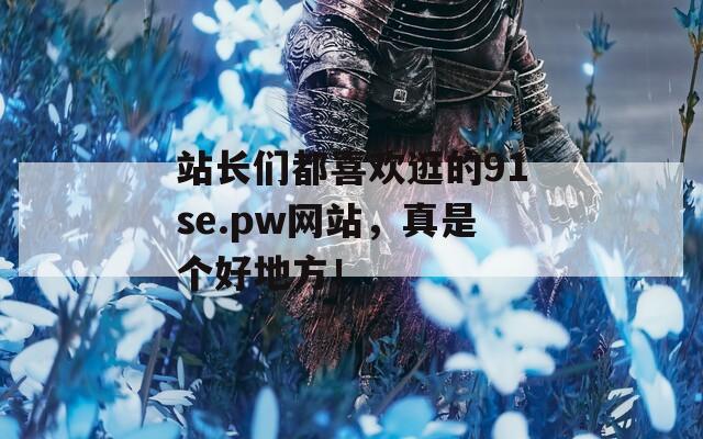 站长们都喜欢逛的91se.pw网站，真是个好地方！