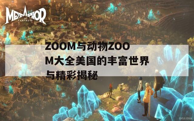 ZOOM与动物ZOOM大全美国的丰富世界与精彩揭秘