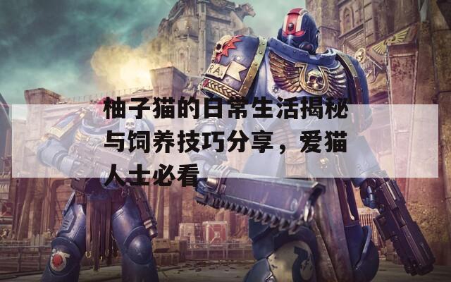 柚子猫的日常生活揭秘与饲养技巧分享，爱猫人士必看