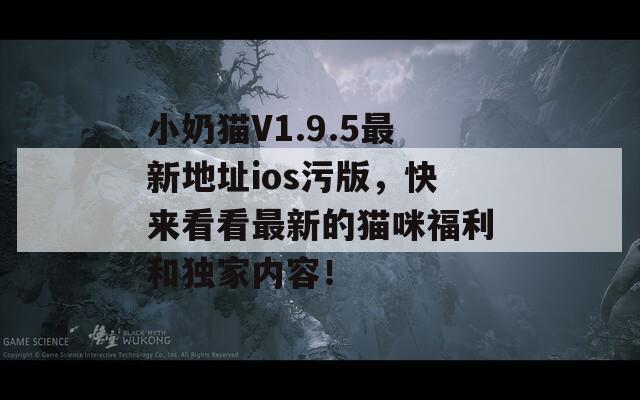 小奶猫V1.9.5最新地址ios污版，快来看看最新的猫咪福利和独家内容！