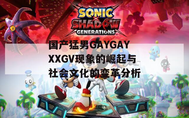 国产猛男GAYGAYXXGV现象的崛起与社会文化的变革分析
