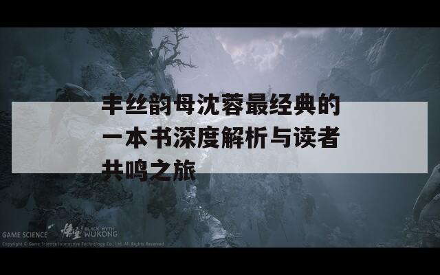 丰丝韵母沈蓉最经典的一本书深度解析与读者共鸣之旅