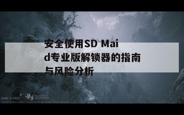安全使用SD Maid专业版解锁器的指南与风险分析