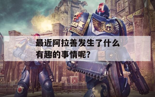 最近阿拉善发生了什么有趣的事情呢？