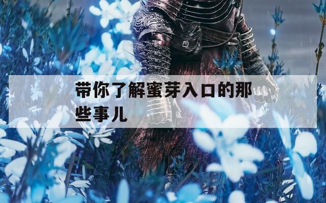 带你了解蜜芽入口的那些事儿