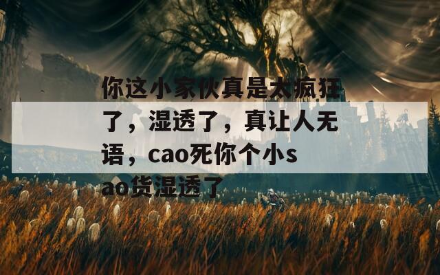 你这小家伙真是太疯狂了，湿透了，真让人无语，cao死你个小sao货湿透了