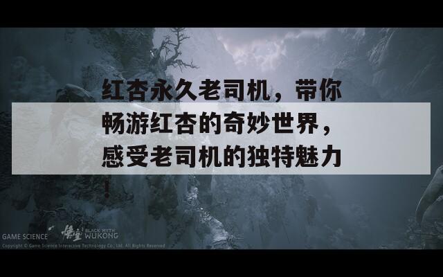 红杏永久老司机，带你畅游红杏的奇妙世界，感受老司机的独特魅力！