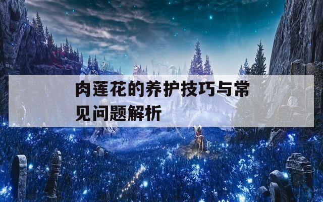 肉莲花的养护技巧与常见问题解析