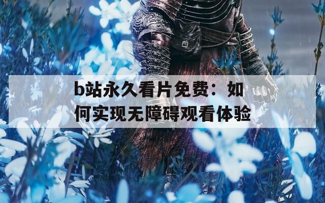 b站永久看片免费：如何实现无障碍观看体验
