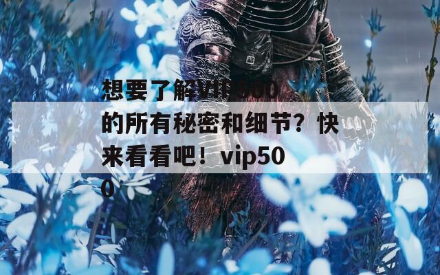 想要了解VIP500的所有秘密和细节？快来看看吧！vip500
