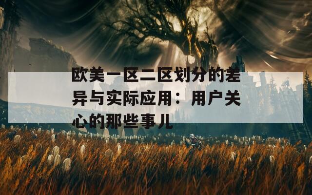 欧美一区二区划分的差异与实际应用：用户关心的那些事儿