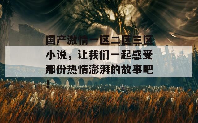 国产激情一区二区三区小说，让我们一起感受那份热情澎湃的故事吧！