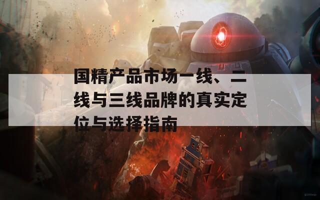 国精产品市场一线、二线与三线品牌的真实定位与选择指南