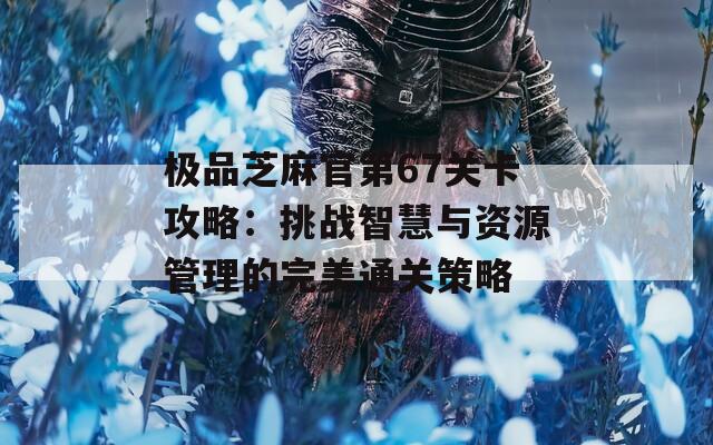 极品芝麻官第67关卡攻略：挑战智慧与资源管理的完美通关策略