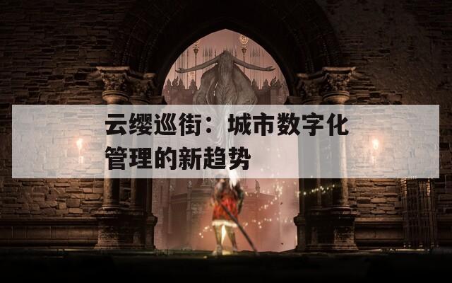 云缨巡街：城市数字化管理的新趋势