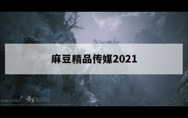麻豆精品传媒2021