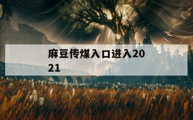 麻豆传煤入口进入2021
