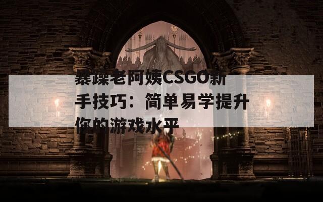 暴躁老阿姨CSGO新手技巧：简单易学提升你的游戏水平