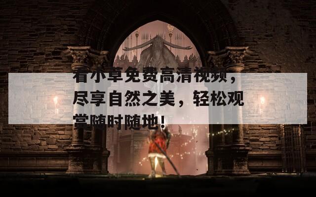 看小草免费高清视频，尽享自然之美，轻松观赏随时随地！