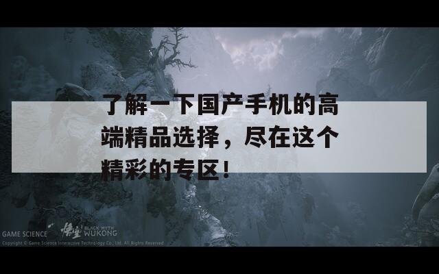 了解一下国产手机的高端精品选择，尽在这个精彩的专区！