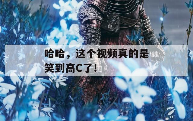 哈哈，这个视频真的是笑到高C了！