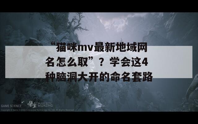“猫咪mv最新地域网名怎么取”？学会这4种脑洞大开的命名套路