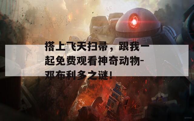 搭上飞天扫帚，跟我一起免费观看神奇动物-邓布利多之谜！