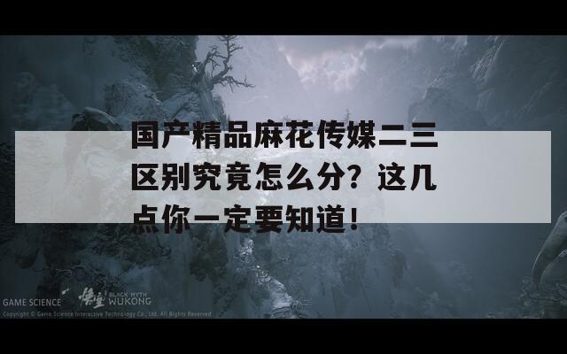 国产精品麻花传媒二三区别究竟怎么分？这几点你一定要知道！