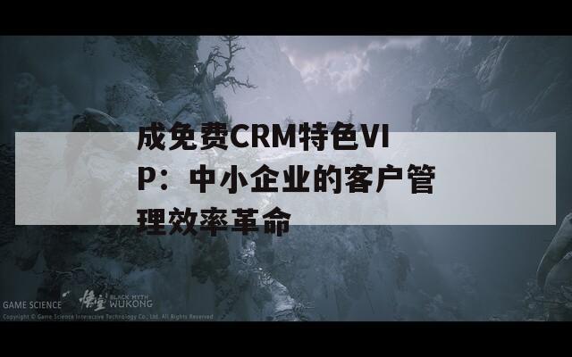 成免费CRM特色VIP：中小企业的客户管理效率革命