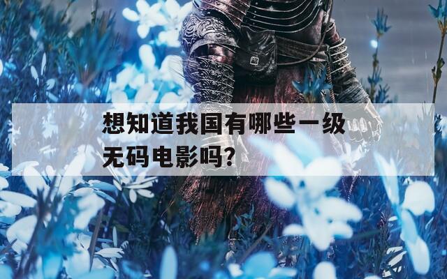 想知道我国有哪些一级无码电影吗？