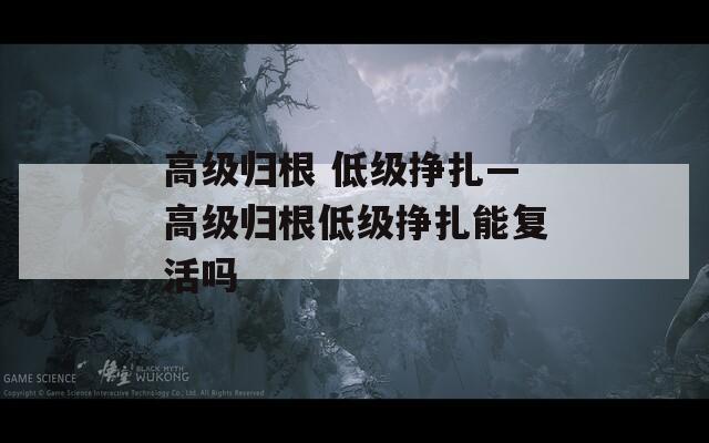 高级归根 低级挣扎—高级归根低级挣扎能复活吗