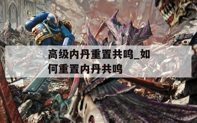 高级内丹重置共鸣_如何重置内丹共鸣