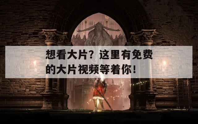 想看大片？这里有免费的大片视频等着你！