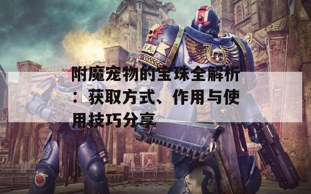 附魔宠物的宝珠全解析：获取方式、作用与使用技巧分享