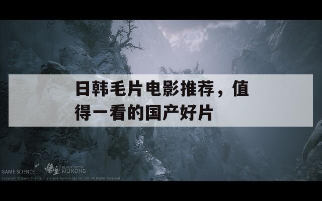 日韩毛片电影推荐，值得一看的国产好片