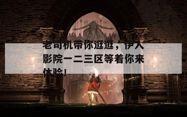 老司机带你逛逛，伊人影院一二三区等着你来体验！