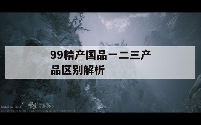 99精产国品一二三产品区别解析