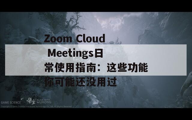 Zoom Cloud Meetings日常使用指南：这些功能你可能还没用过